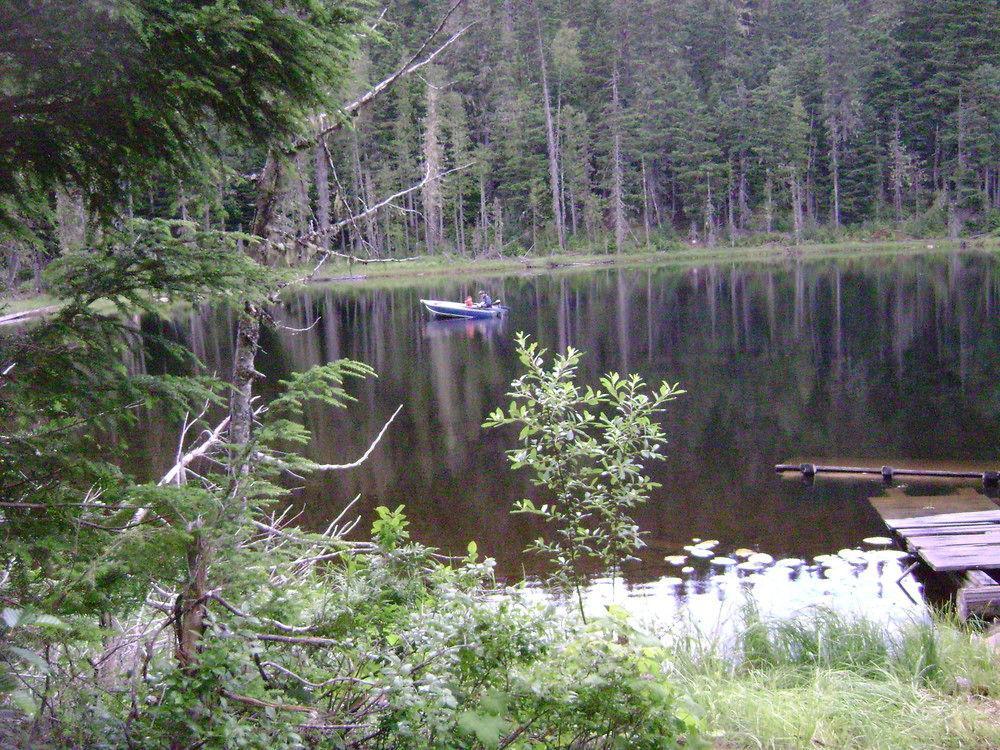 Blue River Cabins & Campgrounds Luaran gambar